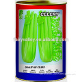High Purity High Germination Rate Celery Seeds For Cultivation